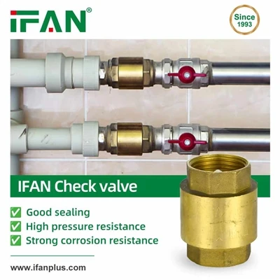 Válvula de retención IFAN